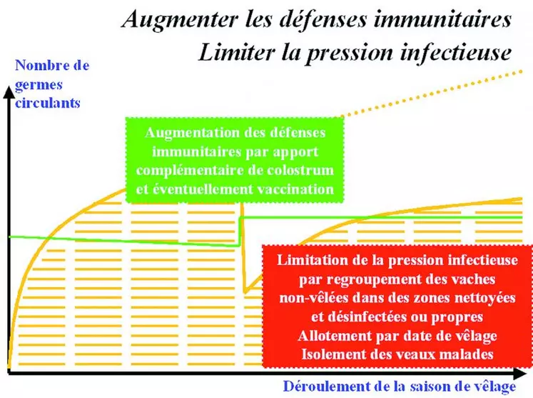 La présence de diarrhées en nombre signe la présence d’un déséquilibre « agents infectieux/défenses immunitaires » important. Cela implique de rétablir cet équilibre en augmentant les défenses immunitaires et limitant la pression infectieuse.