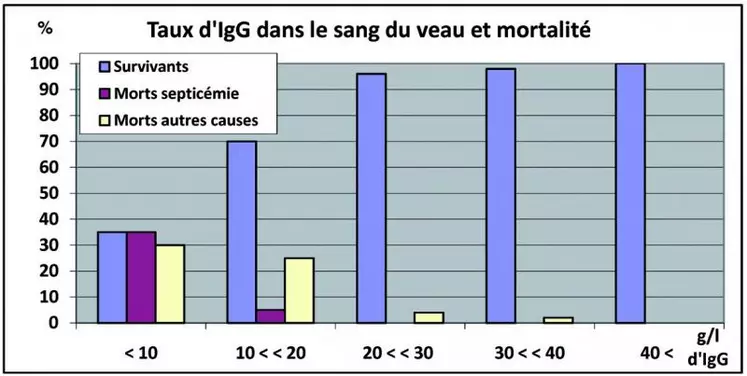 Il existe une relation directe entre les taux de mortalité et de morbidité au sein d’un élevage et la concentration d’anticorps du veau à 24/48 heures. La concentration minimale nécessaire se situe de 15 à 20 g/l de sérum. Les veaux privés totalement de colostrum présentent une mortalité voisine de 90%.