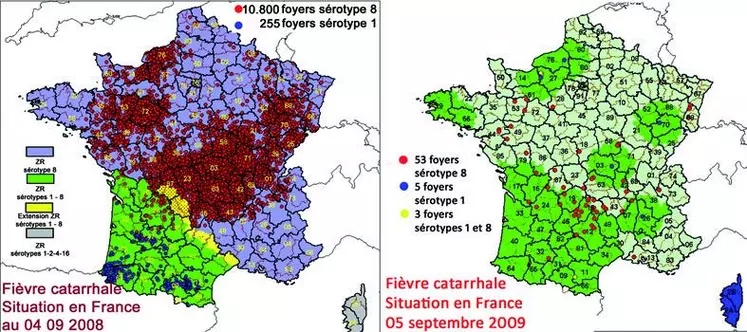 La vaccination généralisée, mesure indispensable face à une épizootie, a concerné 96 % des bovins et plus de 80 % des ovins en Creuse en 2009. En France, cela a permis de stopper l’impact clinique de cette maladie. Alors qu’il avait été déclaré, en 2008, plus de 32 000 cas cliniques au niveau national et plus de 1 200 en Creuse, en 2009, moins de 90 foyers ont été signalés en France et aucun en Creuse.