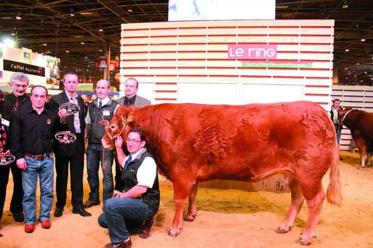 Usebi au Gaec Aucomte (87), 984 kgs, a été acheté par le restaurant Hall West à Limoges pour 8 600 euros.