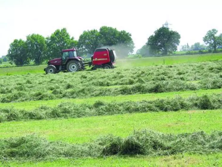 L'autonomie fourragère est essentielle en élevage allaitant.