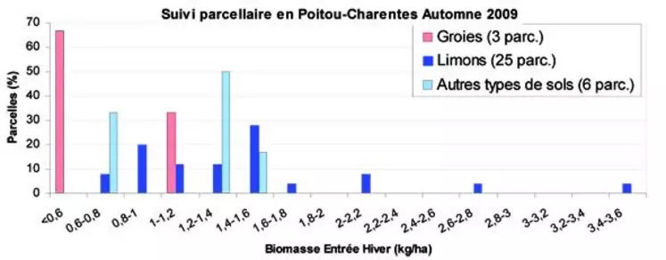 Il est impératif de peser le colza pour apporter la dose optimale d'engrais azoté à la parcelle afin d'optimiser techniquement et économiquement cette étape de la culture.