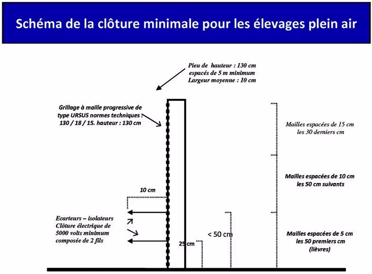 Le suivi de la faune sauvage confirme la poursuite de la circulation de la brucellose porcine chez les sangliers, d’où l’importance du respect des mesures de protection des élevages plein air à l’aide de clôtures spécifiques.