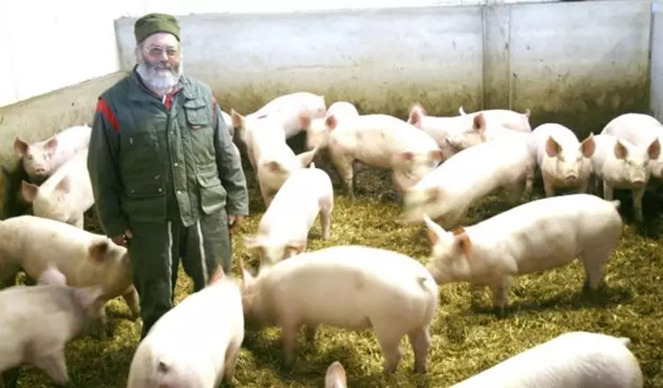 Les 450 porcs de Daniel Mallet sont nés dans la maternité collective. Un complément intéressant pour son Gaec qui fonctionne principalement avec des bovins lait.