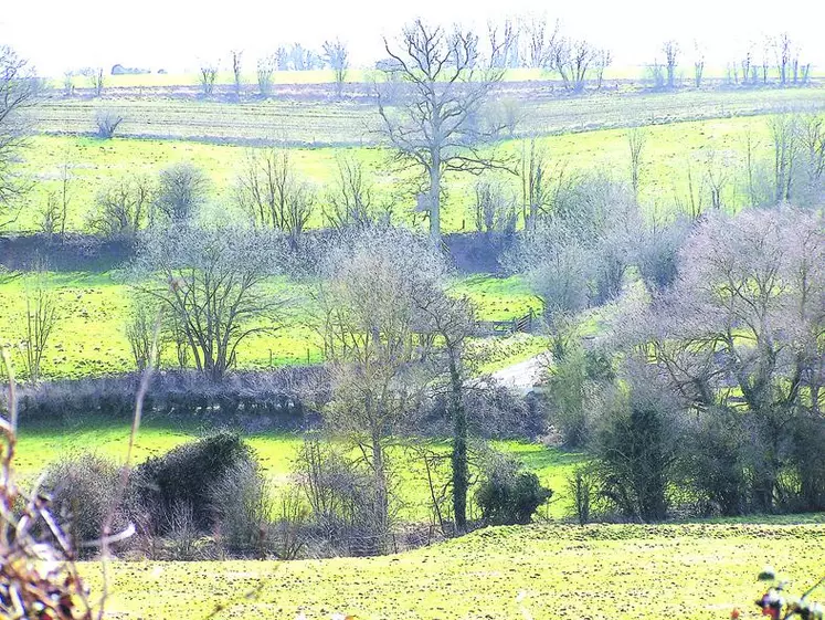 Les haies constituent un atout majeur dans le paysage : protection, écoulement, vie, énergie, paysage.