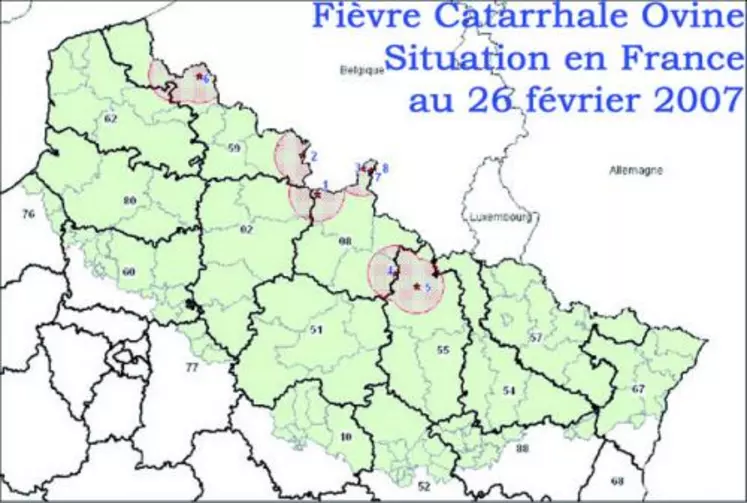 L'épisode de Fièvre Catarrhale Ovine apparu au nord de la France en août 2006 a impliqué de très lourdes conséquences pour les éleveurs des zones réglementées françaises. La FNGDS a décidé, avec l'accord de plus de 80% des GDS français dont le GDSCC, l'apport d'une aide aux éleveurs de cette zone financée par les intérêts du fonds fièvre aphteuse. D'autre part, avec l'arrivée du printemps et la reprise d'activité des moucherons susceptibles de transmettre cette maladie, ...