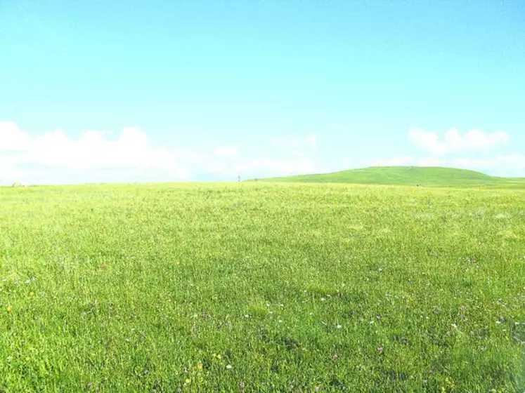 En 2008, les surfaces toujours en herbe représentaient près de 950 000 ha en Auvergne.