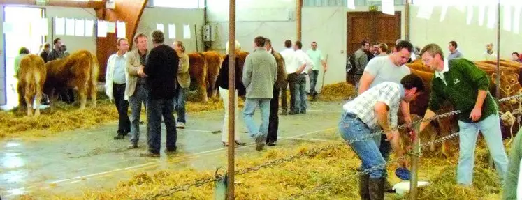 Le public a aussi pu profiter d'autres animations telles qu'un marché de produits locaux, de stands variés et d'une exposition de matériels agricoles avec la présence des divers concessionnaires du département.