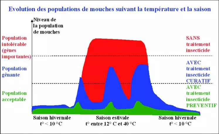 La précocité d’intervention s’avère déterminante pour limiter efficacement les populations de mouches.