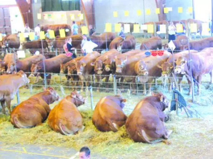 Lors du comice agricole de Bourganeuf.