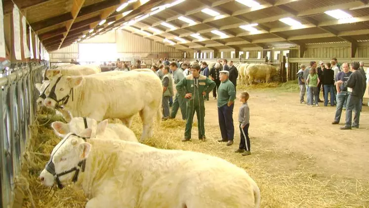 Sur les 14 reproducteurs mâles Charolais vendus, 6 ont rejoint l'Allier, 5 la Creuse et 3 le Puy-de-Dôme.