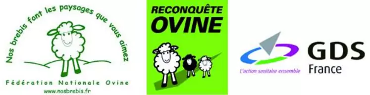 Dans le cadre des orientations techniques de la « reconquête ovine », un groupe de travail national (GDS, fédérations ovines, organisations de producteurs, vétérinaires, organisations de sélection, etc.), animé par GDS France, s’est constitué sur les dossiers sanitaires. En Creuse, la commission ovine de GDS Creuse, déjà opérante selon ce schéma, va renforcer son action au travers d’un groupe technique regroupant les organisations de producteurs, les vétérinaires et GDS ...