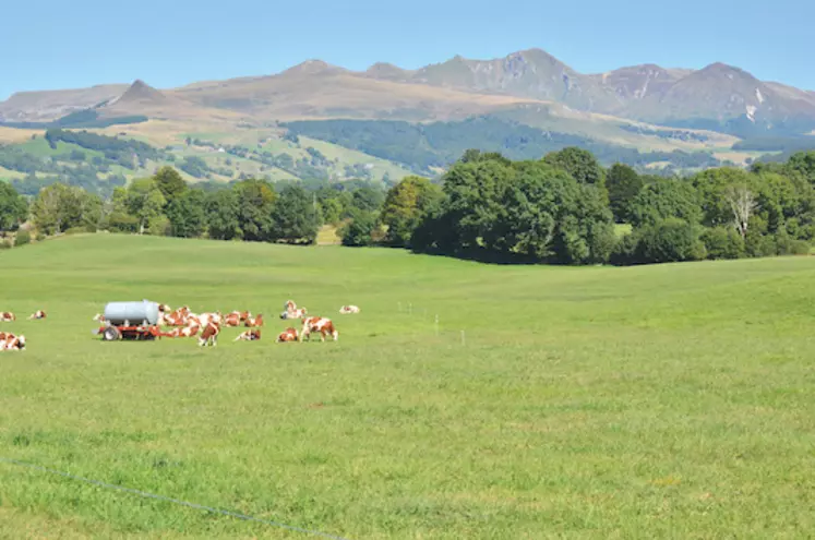 L'herbe est la clé de voûte des élevages du Massif Central, explorer ses multiples facettes est essentiel  pour l'avenir de la production. 