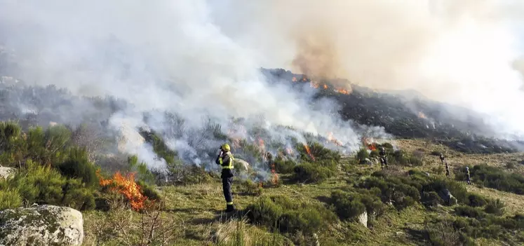 Brûlage pastoral en cours sur une parcelle, sous les yeux d'un pompier de l'UISSC7.