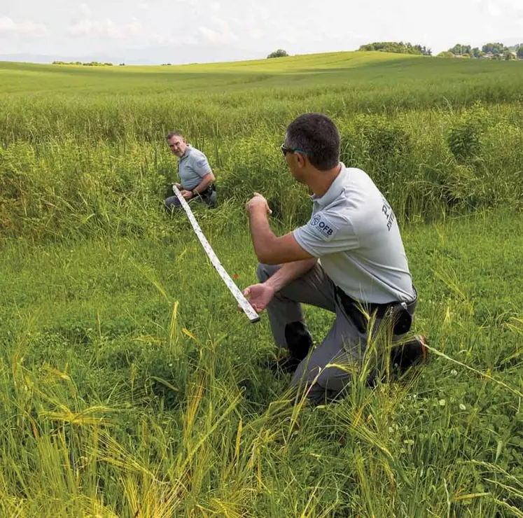 Parfois, les contrôles des agents de l’Office français de la biodiversité sont mal vécus par les agriculteurs. Le dialogue régulier entre les deux parties est donc primordial.