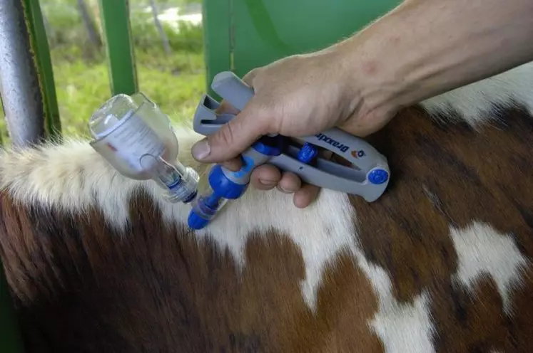 1,3 million de doses de vaccins sont déjà disponibles. Les modalités de la campagne de vaccination sont en train de se mettre en place.