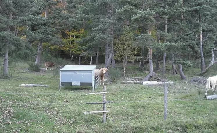 out le monde s’accorde sur la nécessité de la nécessité de pérenniser la valorisation des milieux agricoles atypiques, y compris lorsqu’il est question de productions bovines sur les milieux en question.