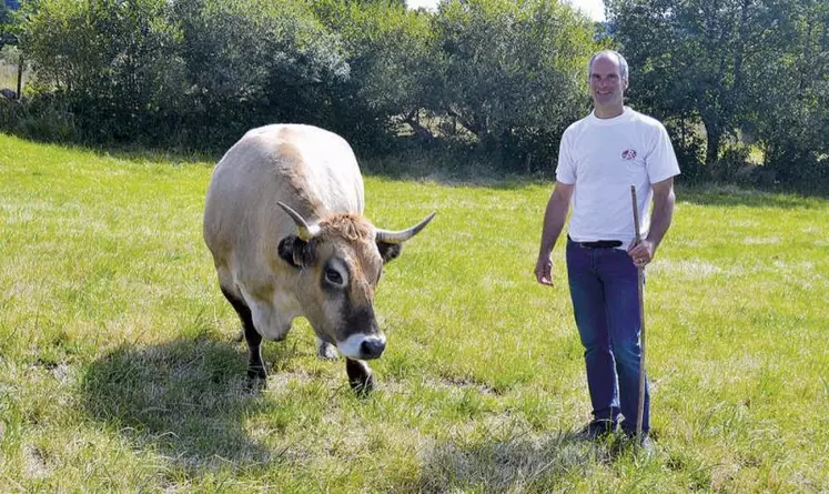 Patrick Mouliade, président de l’association Bœuf fermier Aubrac.