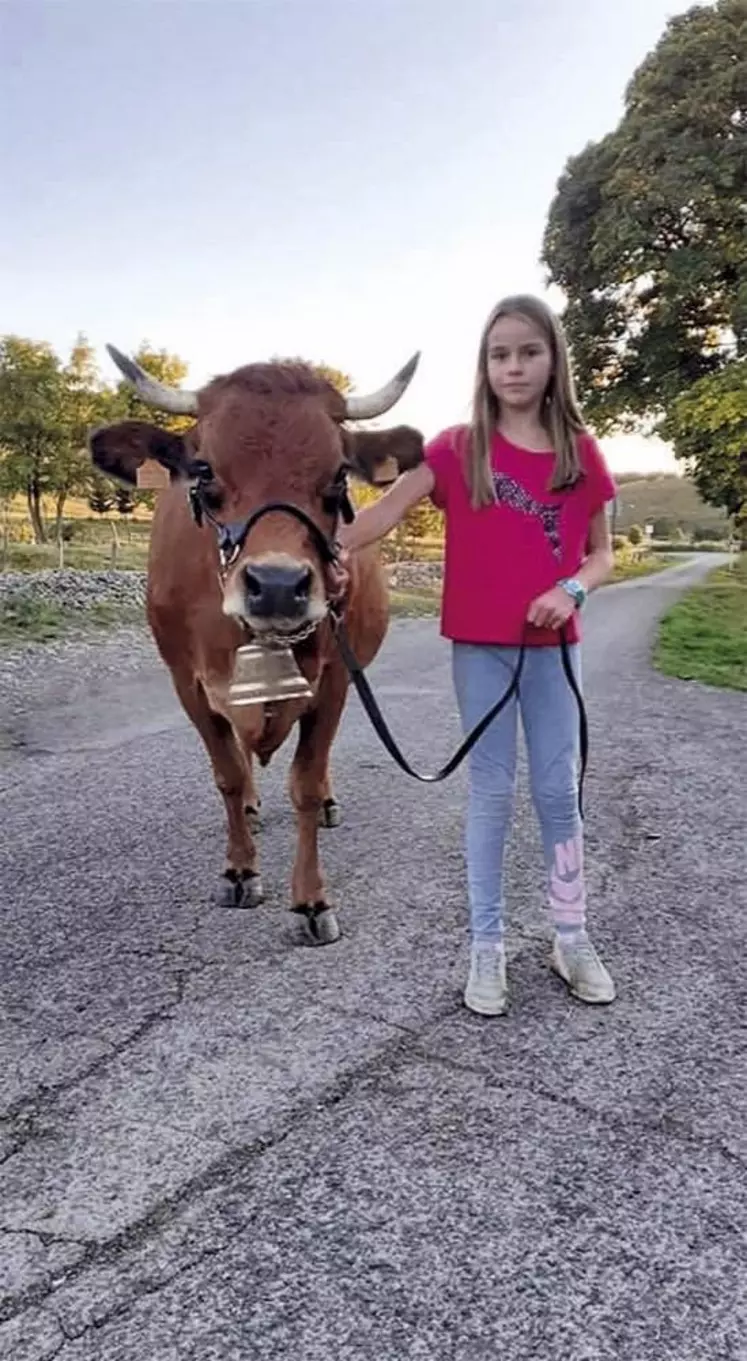 Vingt ans après sa première montée au salon de l'agriculture, Éric Chabalier revient à ce concours phare avec Nuageuse, une belle vache racée qui s'était déjà faite remarquer à Cournon.