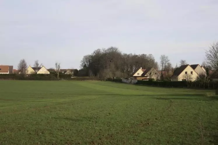 Après l’évacuation de la zone à défendre (ZAD) le 23 février, le sort de 280 hectares de terres agricoles du Triangle de Gonesse reste incertain. Le projet Carma, d’implantations d’activités agricoles, se positionne.