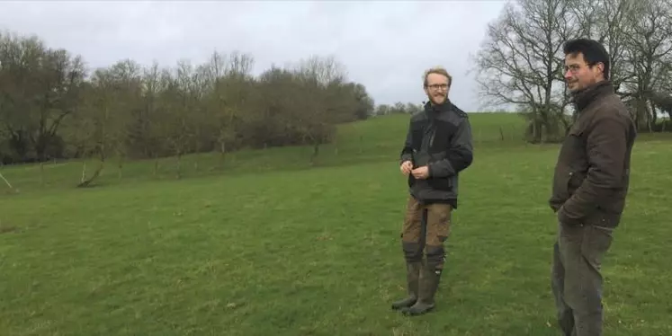 Aller au-delà du bio au nom de la biodiversité : une expérience menée depuis 2010 dans le marais breton (Pays-de-la-Loire) par un ornithologiste se diffuse dans la région et un peu partout en France métropolitaine, avec l'appui de la jeune association Paysans de nature.