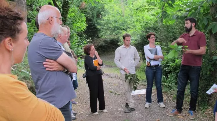 Un après-midi d’information sur le cynips du châtaignier à Saint-Germain-de-Calberte