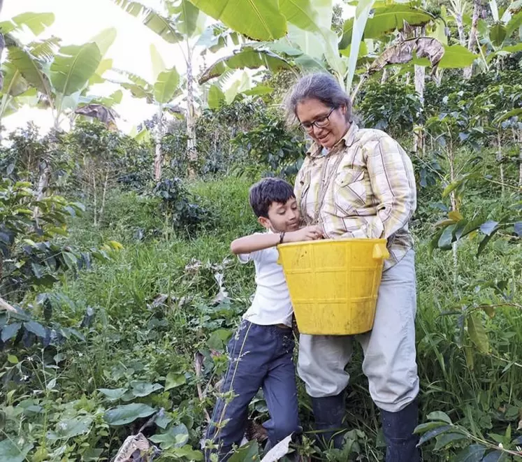 Renommée dans le monde entier, la production de café en Colombie se révèle pourtant très artisanale. Rencontre avec les gérants de la finca Milagro, une ferme familiale où l'art du café se transmet de génération en génération.