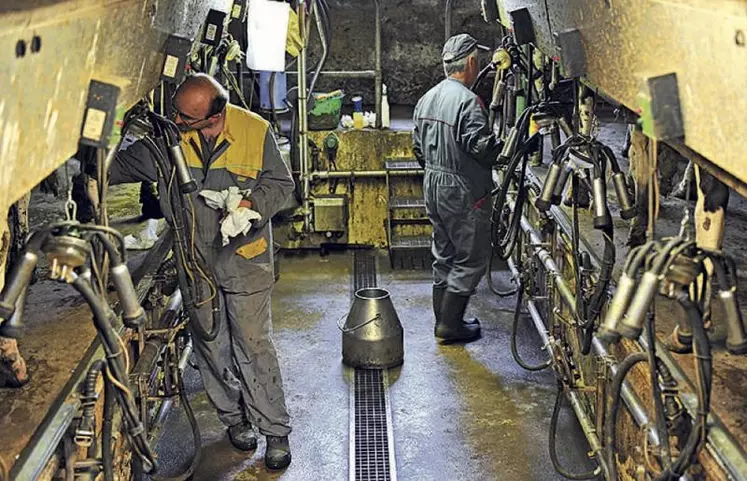 En salle de traite, on appréhende la pénibilité et la main d’œuvre.