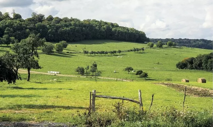 Dans un document envoyé aux professionnels, le ministère de l'Agriculture a dévoilé ses « axes » de travail pour la refonte de la HVE. Ils incluent notamment la suppression de la voie B d'accès à la certification.