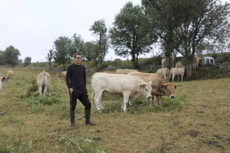 Associé avec son frère et sa mère en Gaec, David Cayrel produit entre 40 et 50 fleur d’Aubrac par an.