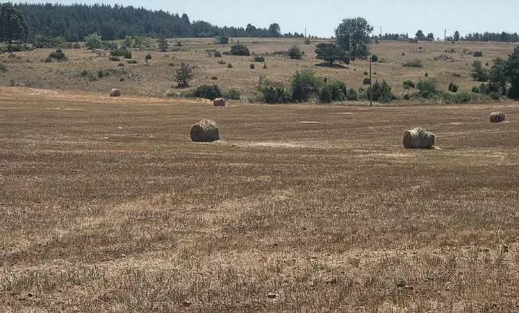 La CNGRA a validé la demande de reconnaissance pour l’ensemble du département, le taux de perte retenu est de 35 % excepté pour deux communes : Saint-Léger-du-Malzieu et Saint-Privat-du-Fau.