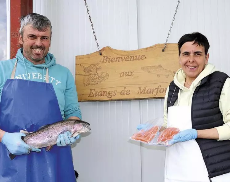 En parallèle d’un cheptel salers, le Gaec des Étangs de Marfon (Polminhac, Cantal) élève des truites qu’on peut venir pêcher, mais dont les filets tranchés saumonés sont aussi prisés des restaurateurs.