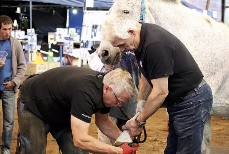 Grant Moon (à droite) et Jim Blurton, champions du monde de maréchalerie en démonstration.