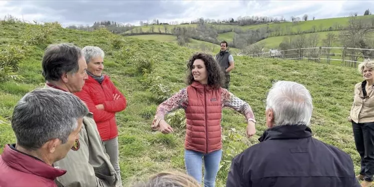 À Rébénacq (Pyrénées Atlantiques) en juin dernier, Manon Mounaix a planté 3 600 bambous. Bien loin des idées reçues que reflète cette herbe géante exotique, cette production propose d'alléchantes opportunités.