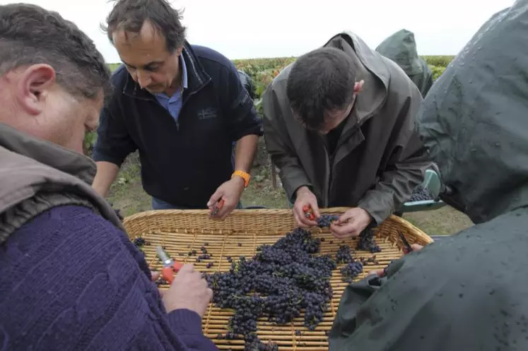 Les travailleurs permanents ne représentent qu’une partie du nombre total de personnes employées dans le secteur agricole. L’essentiel du travail est assuré par les agriculteurs indépendants et les membres de leur famille.