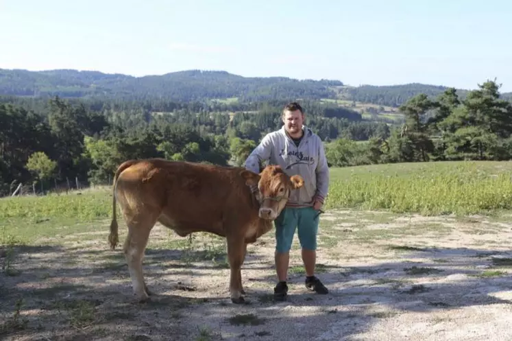 Florian Tichit élève des Limousines au Crouzet, sur la commune de Ribennes.