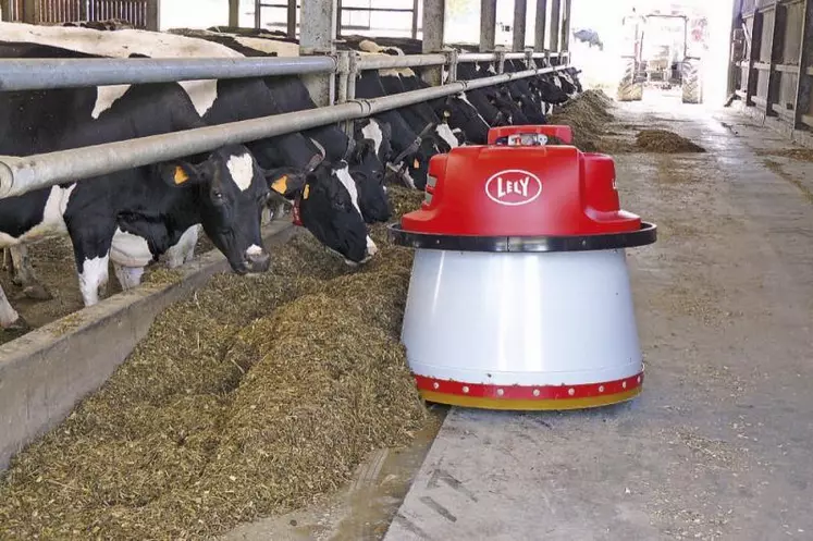 Le robot Lely Juno ramène automatiquement la ration de la mélangeuse distributrice à portée de museau du ruminant pour favoriser l’ingestion des fourrages et faciliter le travail de l’éleveur.