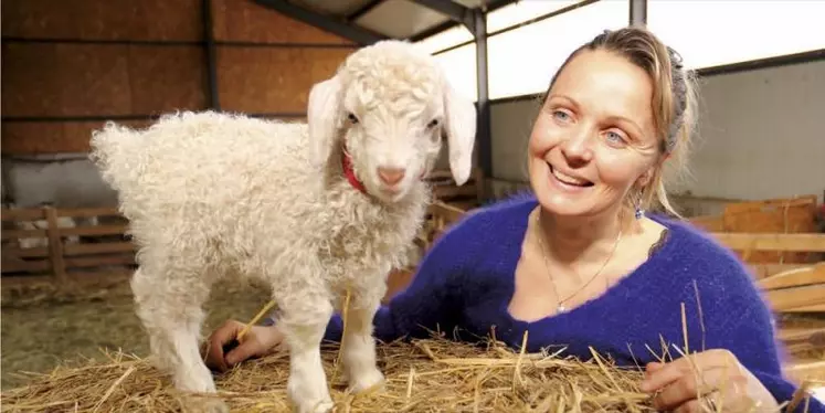 Après 20 ans comme infirmière libérale sur le Cézallier, Marilyne Théron vient de se lancer dans l'élevage de chèvres angora et la transformation de la laine mohair. Reconversion tout en douceur.