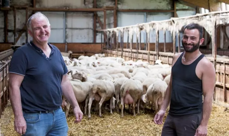 Installé à Saint-Léger-du-Malzieu depuis dix ans en brebis laitières, Thibault Cartoux sait qu'il n'aurait pas fait autant de progrès en une décennie sans l'aide de son technicien d'élevage de la chambre d'agriculture de Lozère, Laurent Bonnefoy.