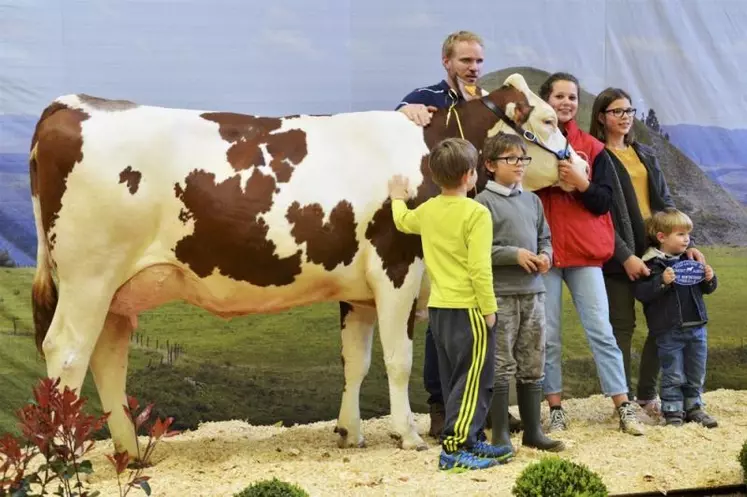 Jalouse du Gaec Martin à Grandrieu remporte le prix miss 2017 en race Montbéliarde.