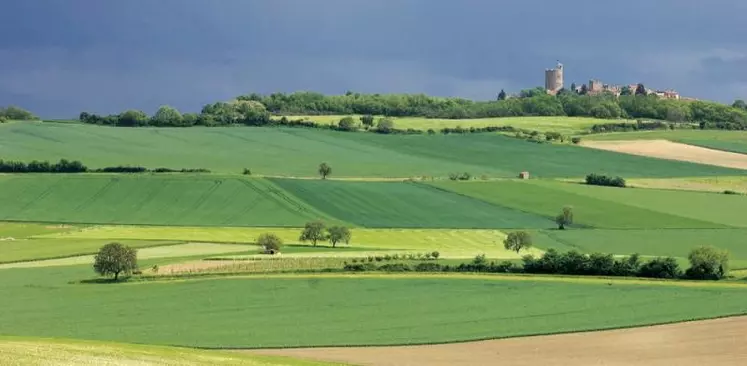 En France, moins de 1 % des eaux usées sont réutilisées. L'ASA Limagne Noire est à l'origine d'un des rares projets qui les recycle pour l'irrigation des cultures.