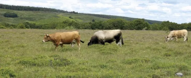 René Confort, maire de Saint-Saturnin, a été réélu en tant que président du site Natura 2000 « Vallon de l’Urugne ». En effet, le 16 mars, s’est tenu comité de pilotage (Copil) du site Natura 2000 à Saint-Saturnin.