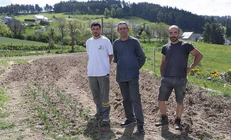 Huit producteurs de Margeride se sont réunis dans une association pour proposer aux consommateurs locaux un panier maraîcher composé de pommes de terre, carottes, oignons et raves.