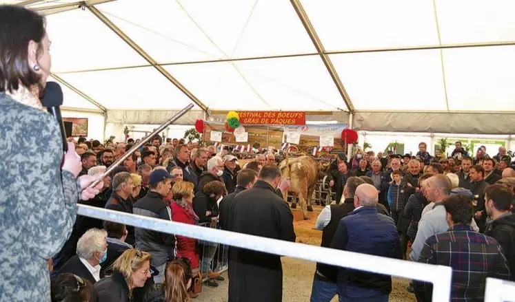 Pour des retrouvailles, elles ont été réussies ! Le festival des Bœufs de Pâques à Laguiole a fait le plein le week-end dernier. Le plein de visiteurs avec une météo printanière au rendez-vous et le plein de qualité avec un parterre d’animaux exceptionnels et des enchères à deux chiffres dont un record pour la championne Fleur d’Aubrac.