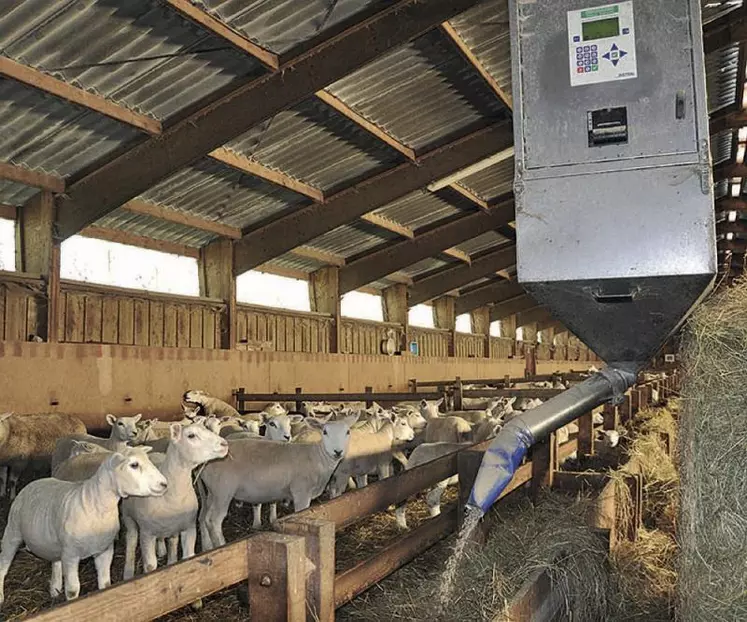« Certains éleveurs refusent des outils de mise à distance des animaux, notamment dans l’automatisation de l’alimentation », constate Claire Manoli, responsable de l’unité de recherche sur les systèmes d’élevages à l’ESA.