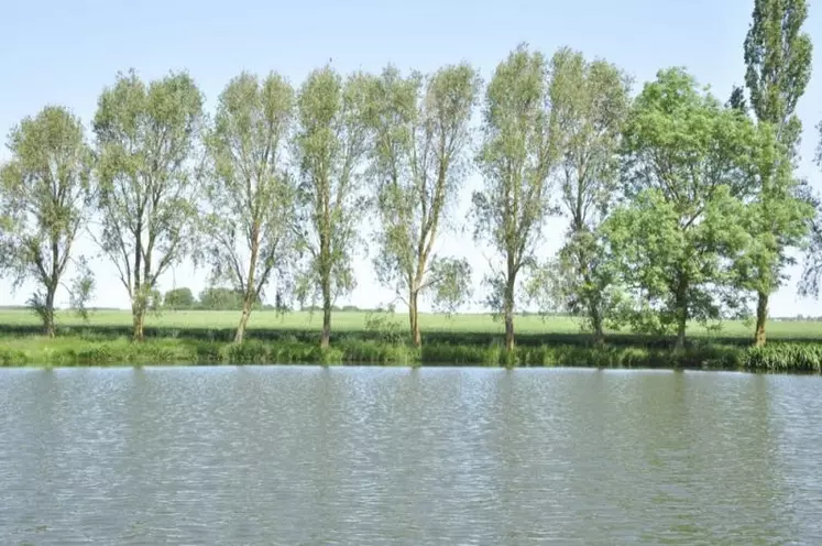 Une séance de la commission locale de l'eau Tarn-amont et du comité de rivière, présidée par Gilbert Faucher, s'est tenue à Verrières, le 1er décembre. Afin d'informer le plus grand nombre, le bureau de la CLE avait choisi de l'organiser sous format élargi.