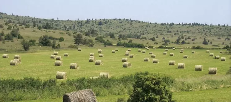 « La sécurité alimentaire n’est pas un problème dans l’UE, la pandémie de Covid-19 l’a très bien démontré », assure le commissaire européen à l’Environnement Virginijus Sinkevicius.