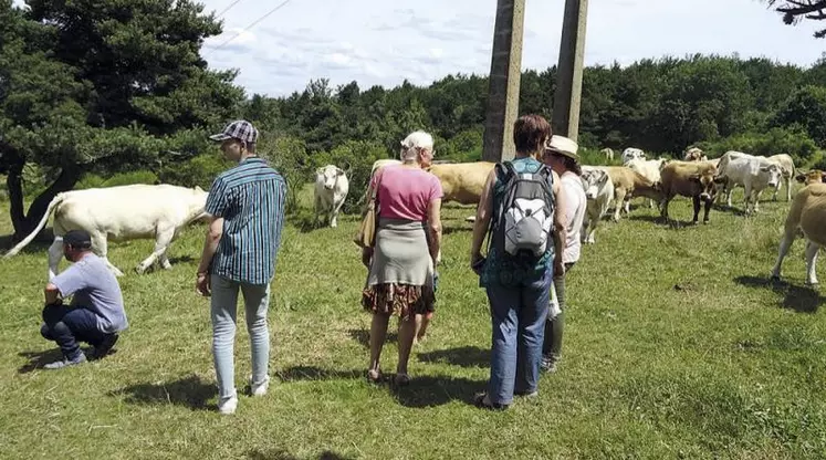 Après la visite de la ferme, les participants étaient invités à aller découvrir le paysage et l’environnement de l’exploitation.