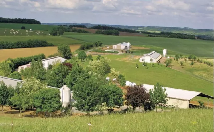 Le ministère de l’Agriculture a reçu les premiers résultats de la consultation sur la déclinaison française de la prochaine Pac, qui mettent largement en avant les thématiques du climat et de la protection de la nature. Dans sa note de synthèse, la Commission du débat public (CNDP) insiste auprès du ministère de l’Agriculture pour qu’il réponde explicitement aux participants.