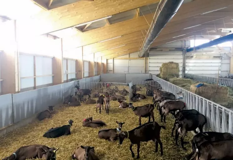 La conception des bâtiments d’élevage intègre des notions zootechniques de logement des animaux, de bien-être animal mais devra aussi prendre en compte la fréquence, l’intensité et la durée des vagues de chaleur.